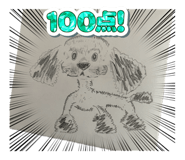 845343477