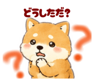 845343519