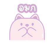 845343558