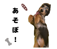 845343665