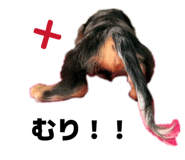 845343666