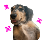 845343670