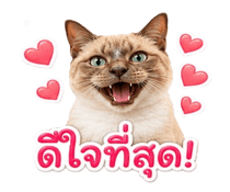 845343763