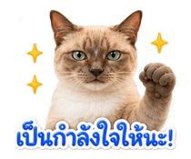 845343771