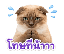 845343774