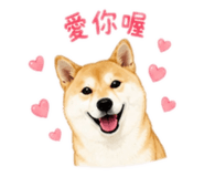 845344217