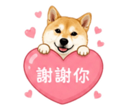 845344223