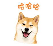 845344224
