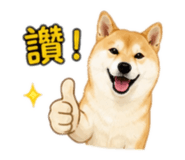 845344226