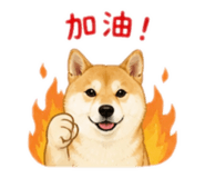 845344229