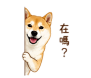 845344235