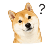 845344236