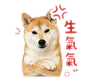 845344239