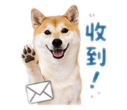 845344240