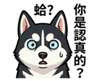 845344666
