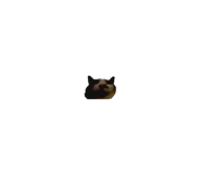 845345616