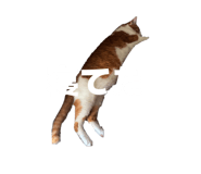 845345620