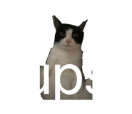 845345634