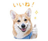 845345732