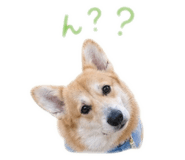 845345733