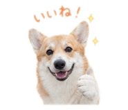 845345745