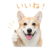 845345747