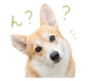 845345751