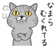 845345806