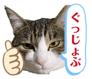845345833