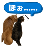 845345834