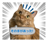 845345835
