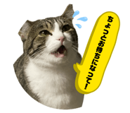 845345842