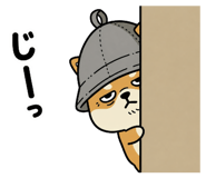 845345884