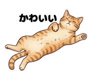 845346063
