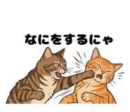845346075