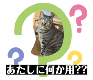 845346372
