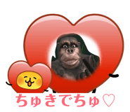 845346376