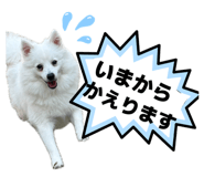 845346489