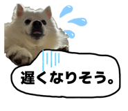 845346501