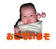 845346666