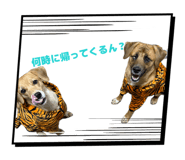 845346769