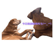 845346770
