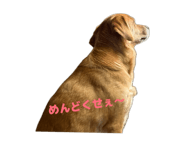 845346772