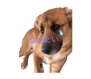845346775