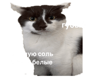 845346882
