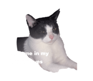 845346883