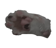 845346891