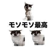 845346898