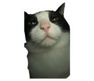 845346901