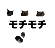 845346903